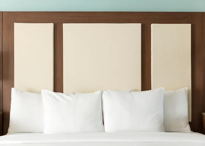 Hilton Clearwater Resort&spa Resort 4*